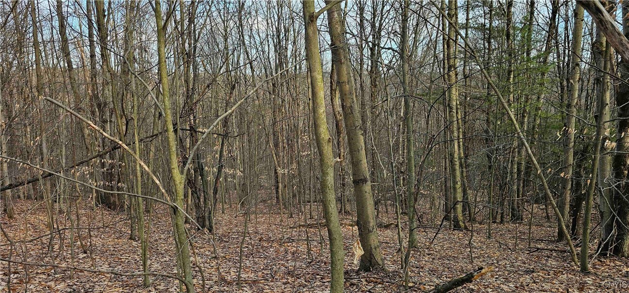 Barden Hill Road, Richford, New York image 15