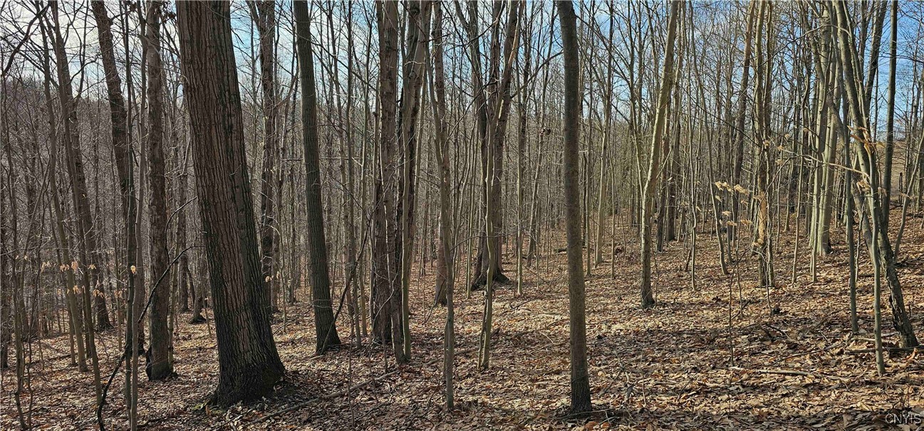 Barden Hill Road, Richford, New York image 33