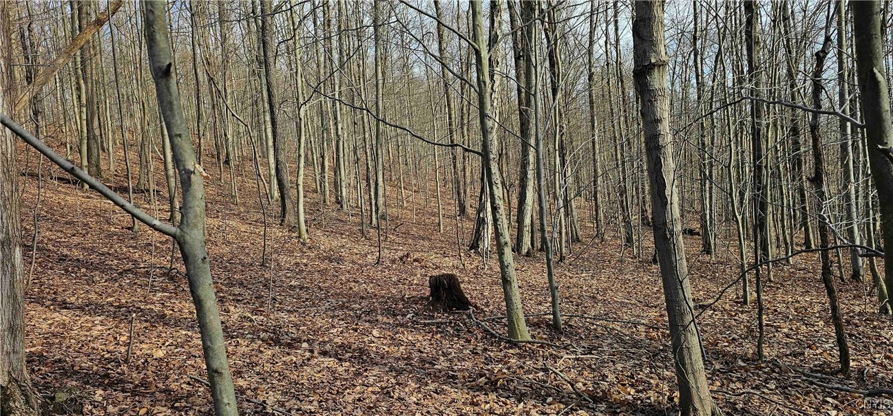 Barden Hill Road, Richford, New York image 6