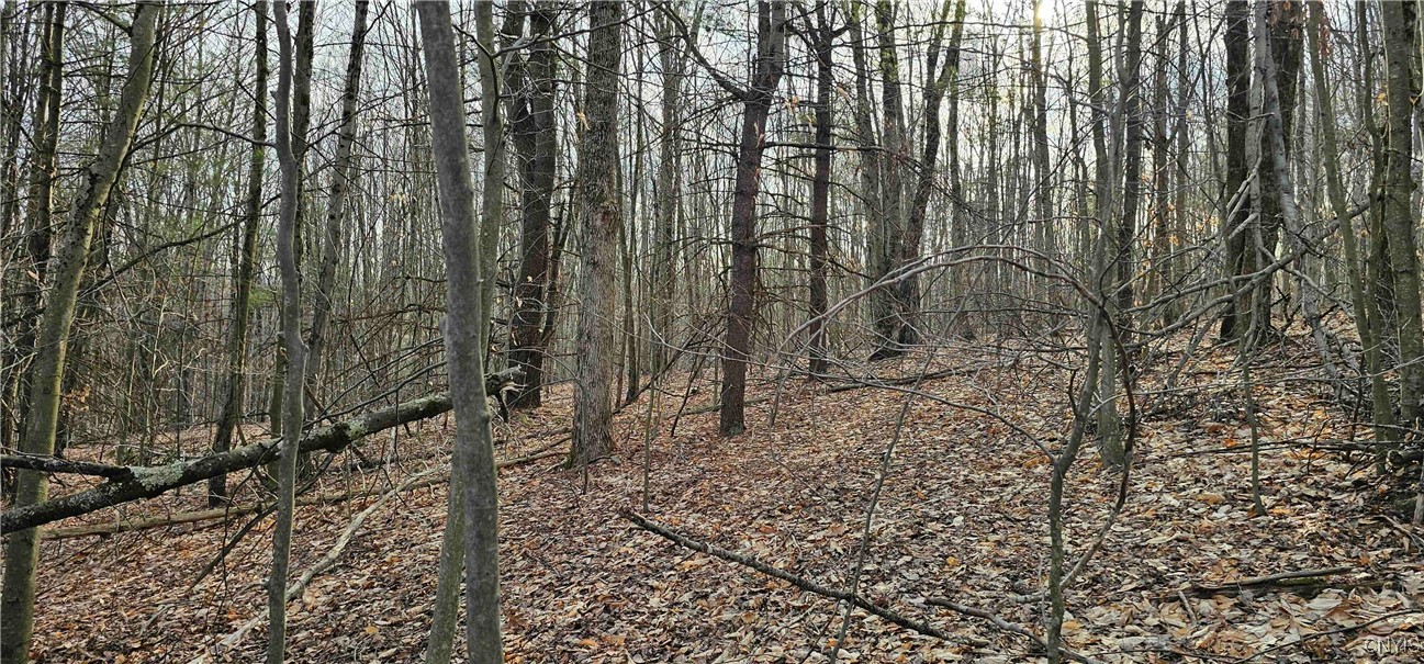 Barden Hill Road, Richford, New York image 27