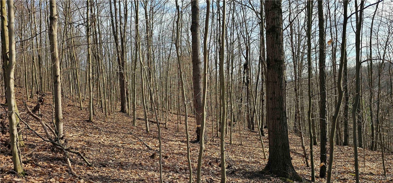 Barden Hill Road, Richford, New York image 21