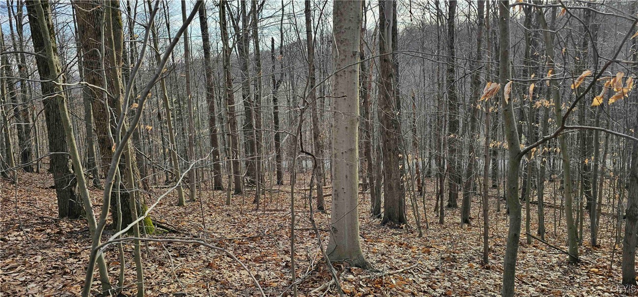 Barden Hill Road, Richford, New York image 3