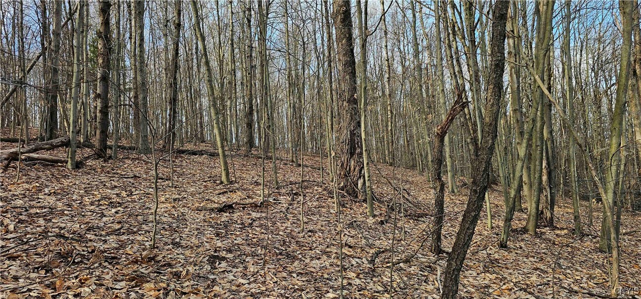 Barden Hill Road, Richford, New York image 14