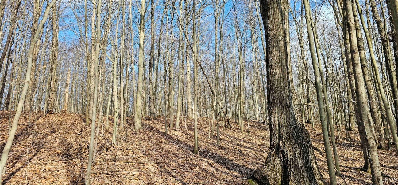 Barden Hill Road, Richford, New York image 26