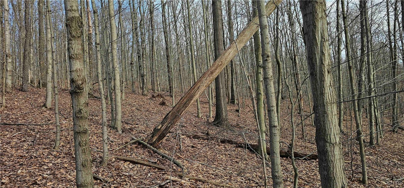 Barden Hill Road, Richford, New York image 8