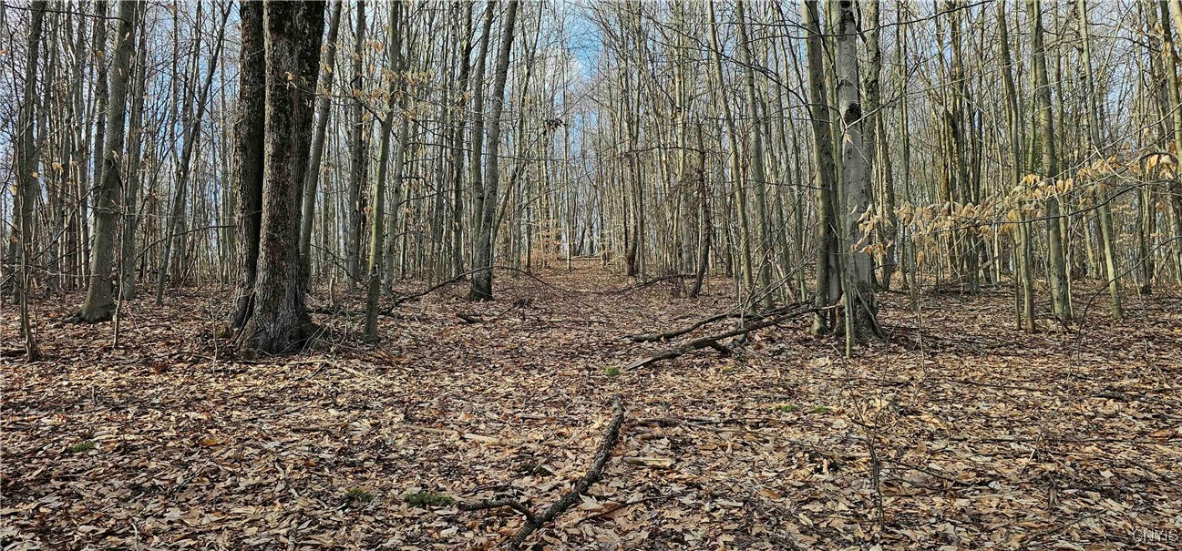 Barden Hill Road, Richford, New York image 2