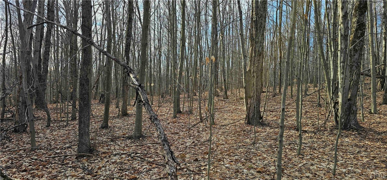 Barden Hill Road, Richford, New York image 29