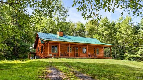 1276 Grant Road Cold Brook NY 13324