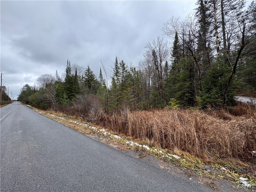 Lot #1 Beaver Trail, Boonville, New York image 3