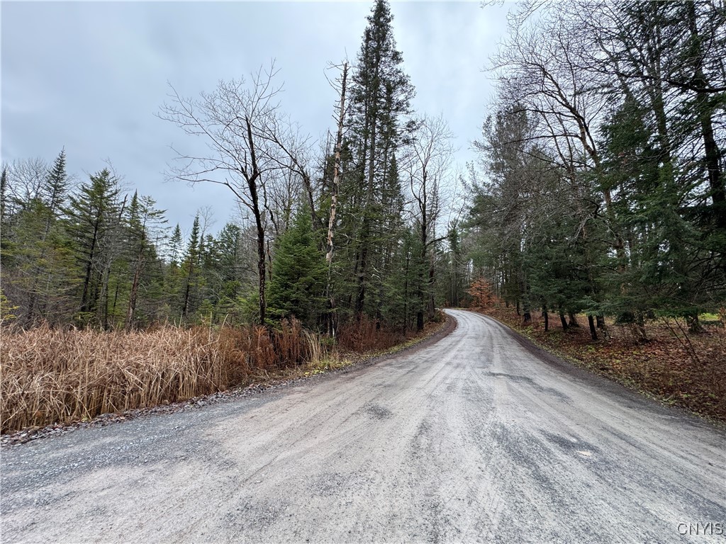 Lot #1 Beaver Trail, Boonville, New York image 1