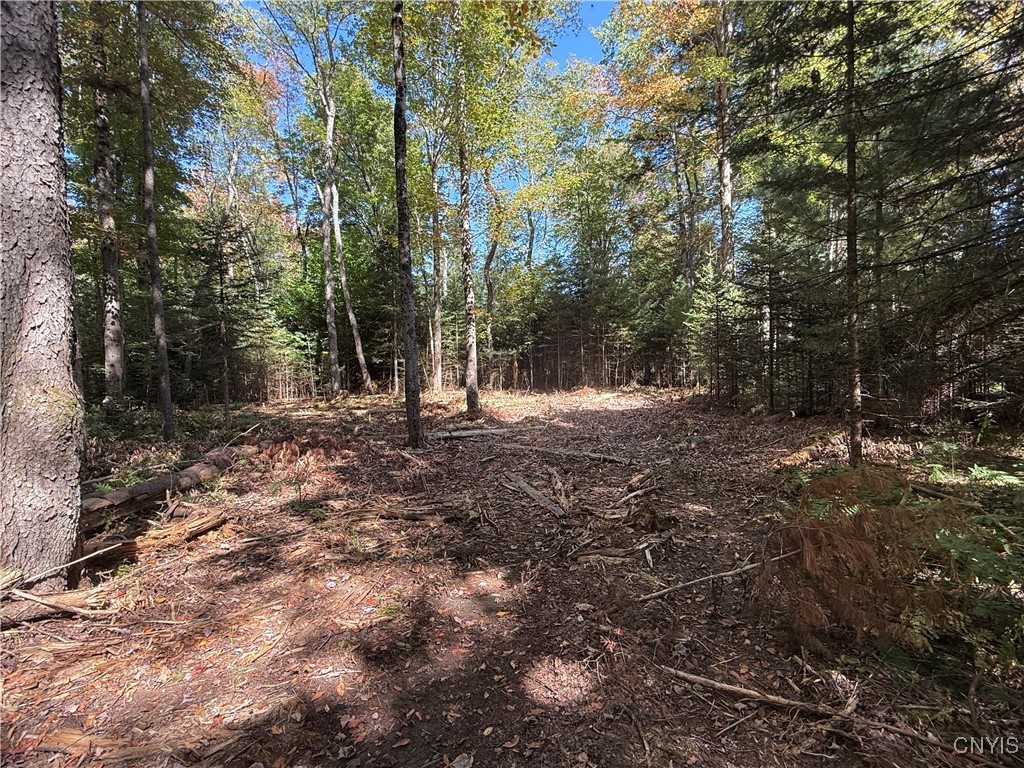 Lot #1 Beaver Trail