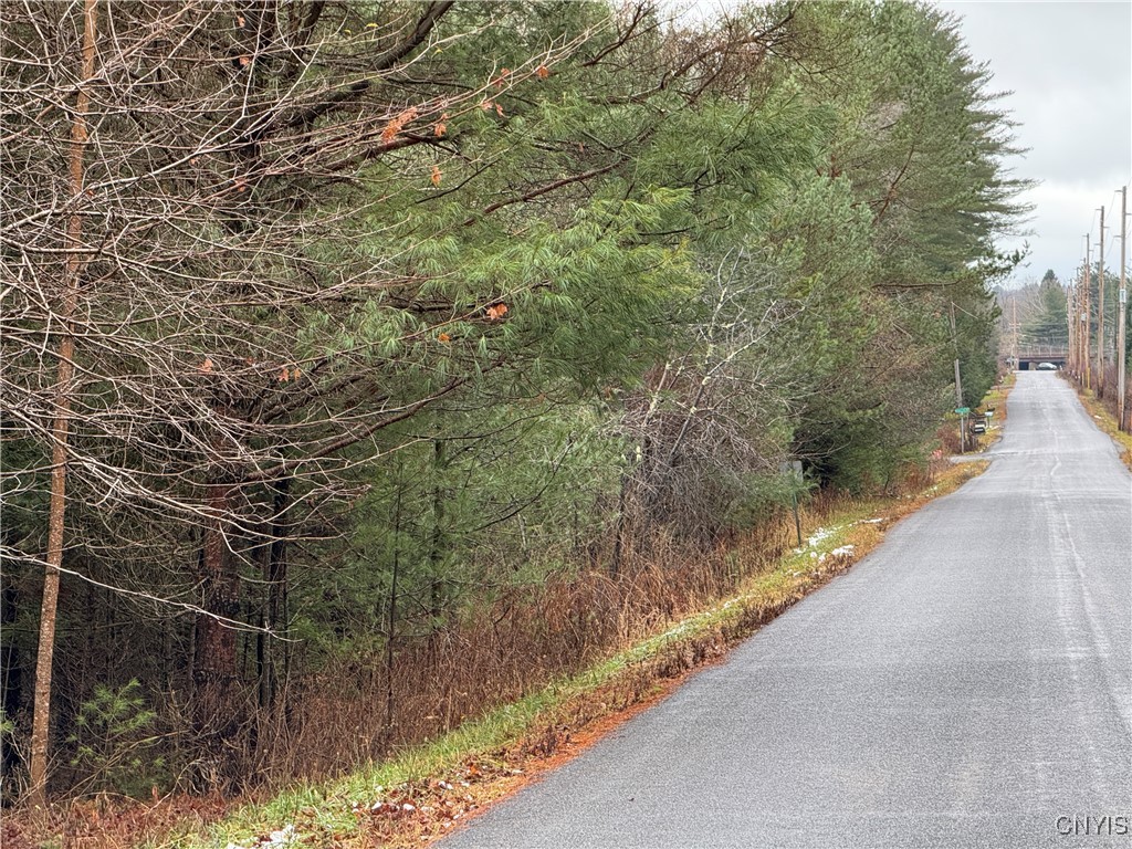 Lot #1 Beaver Trail, Boonville, New York image 8