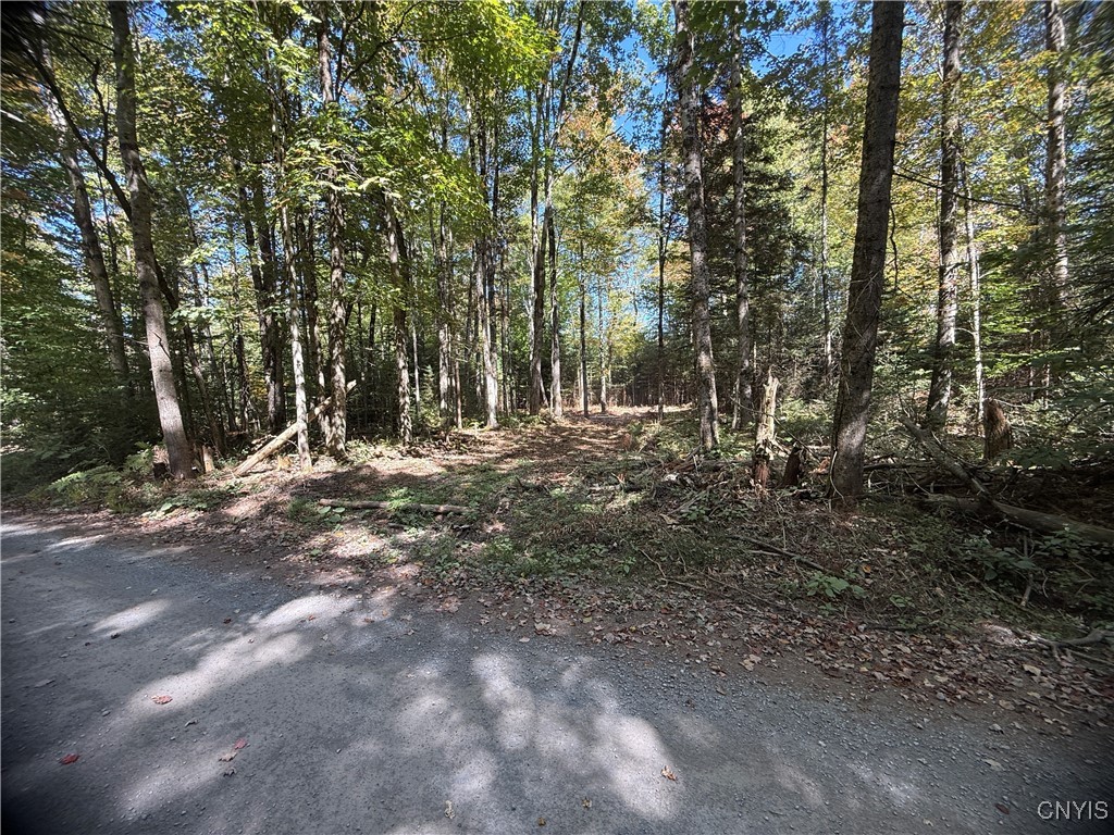 Lot #1 Beaver Trail