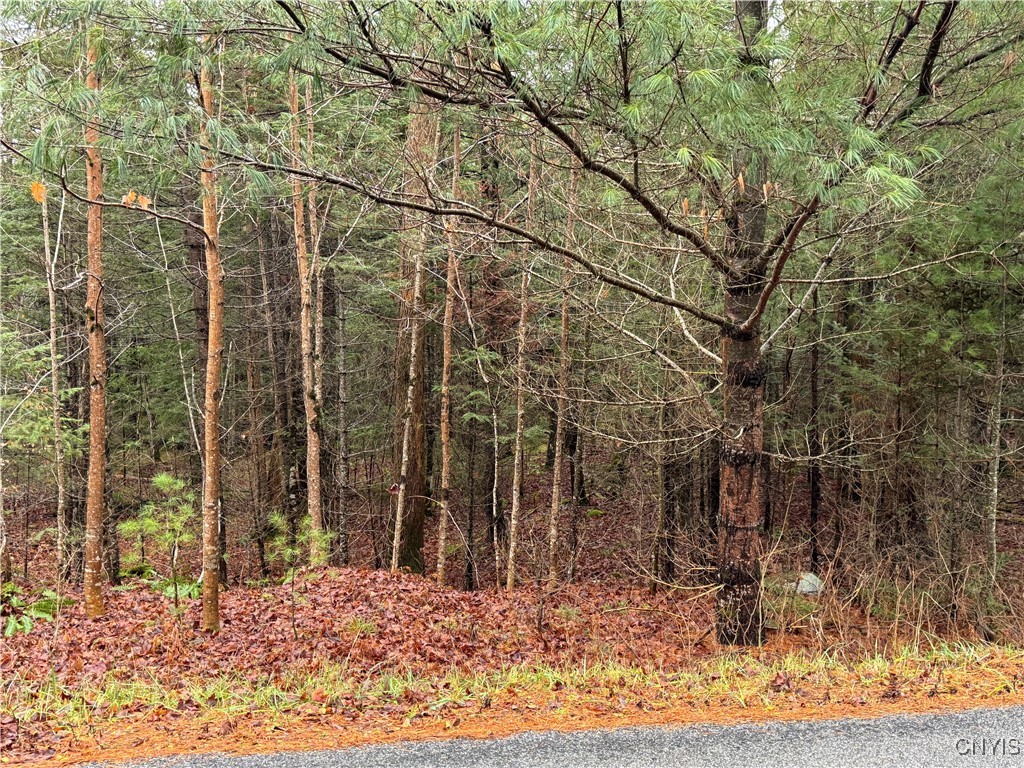 Lot #1 Beaver Trail, Boonville, New York image 7