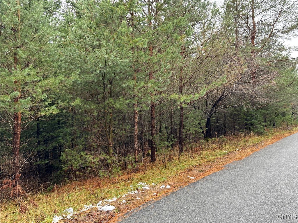 Lot #1 Beaver Trail, Boonville, New York image 6