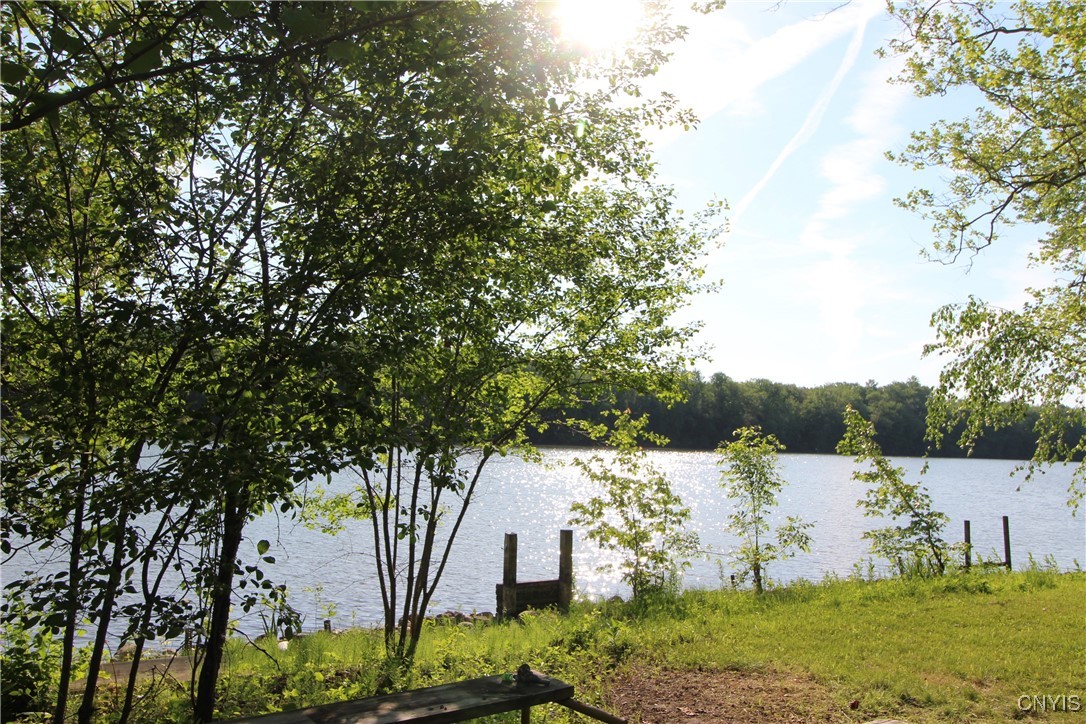 574 Eno Road, Elbridge, New York image 10