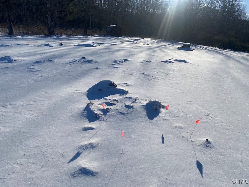 8708 Oramel Hill Road