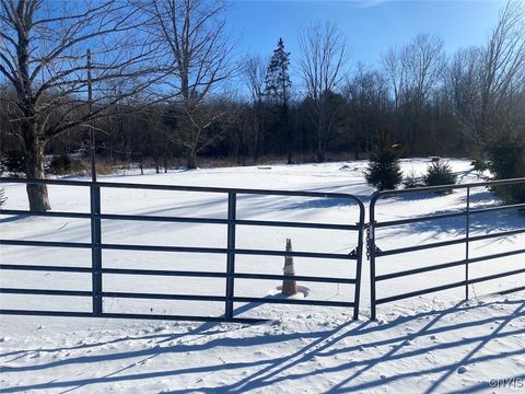 Vacant Land For Sale - 8708 Oramel Hill Road<br/> Caneadea, NY 14717