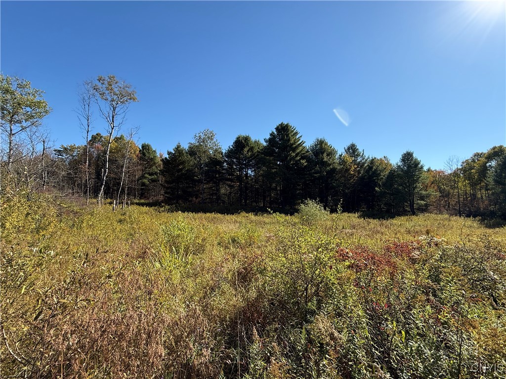 Shoemaker Road