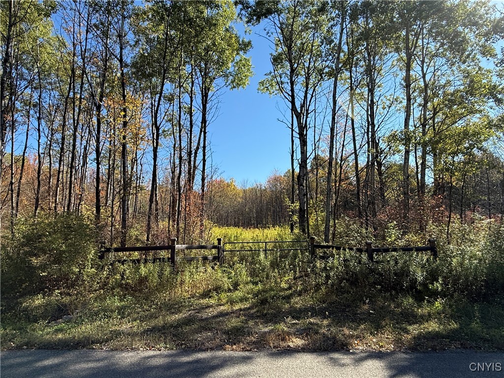 Shoemaker Road