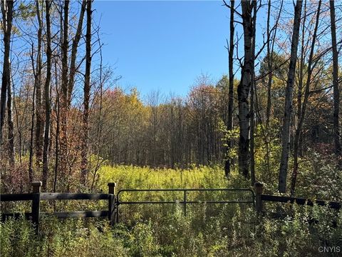 Shoemaker Road Van Etten NY 14889