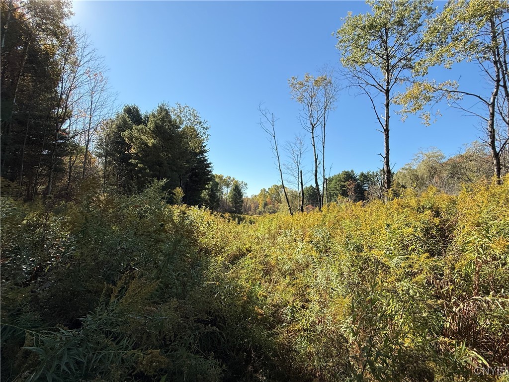 Shoemaker Road