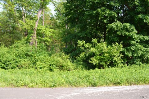 Photo for River Road