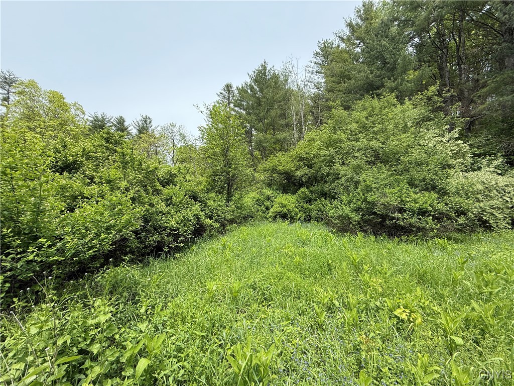 170 Fisher Settlement Road, Spencer, New York image 17