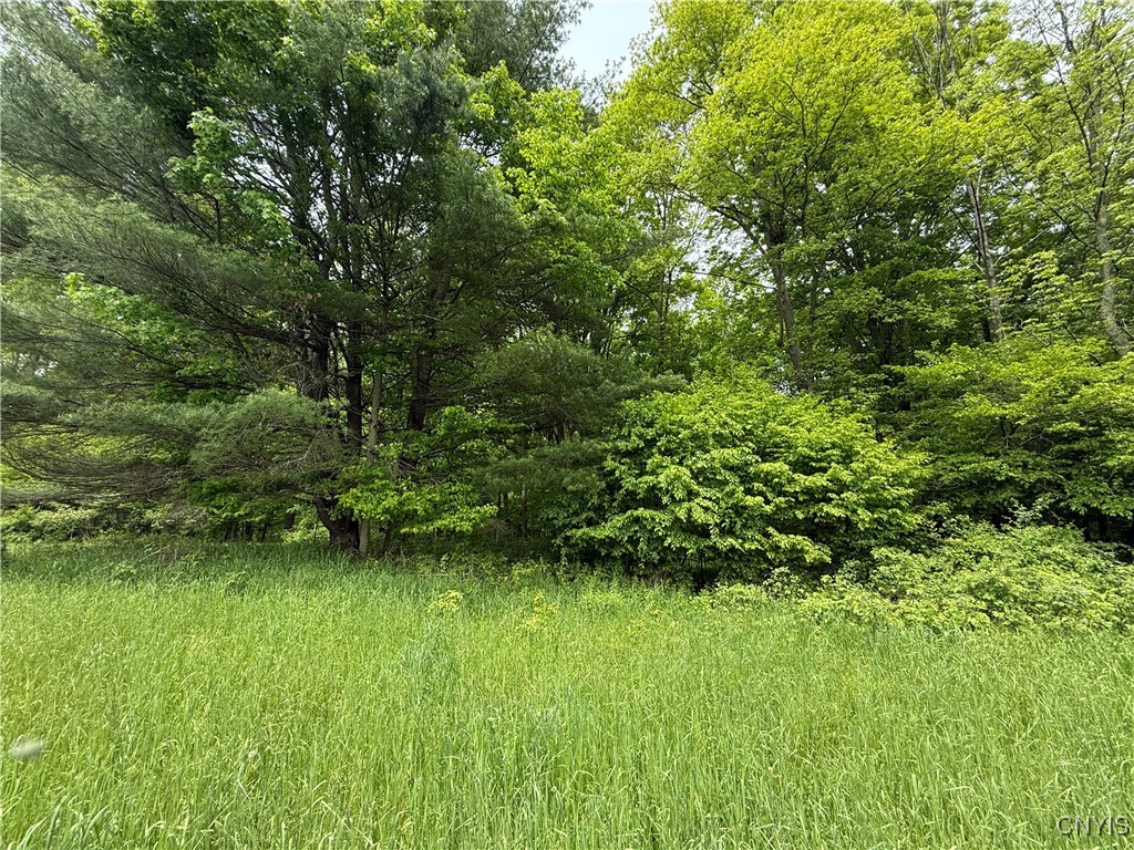 170 Fisher Settlement Road, Spencer, New York image 4