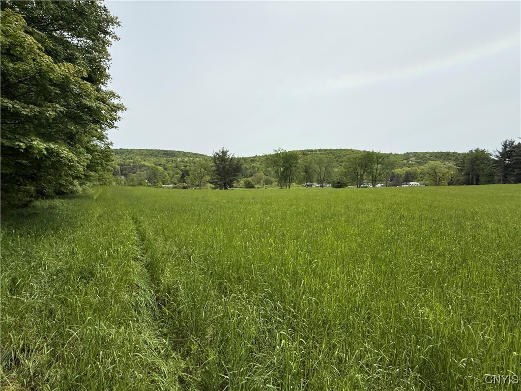 170 Fisher Settlement Road, Spencer, New York image 5