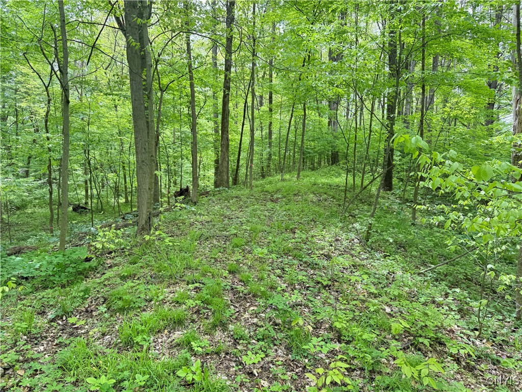 170 Fisher Settlement Road, Spencer, New York image 7