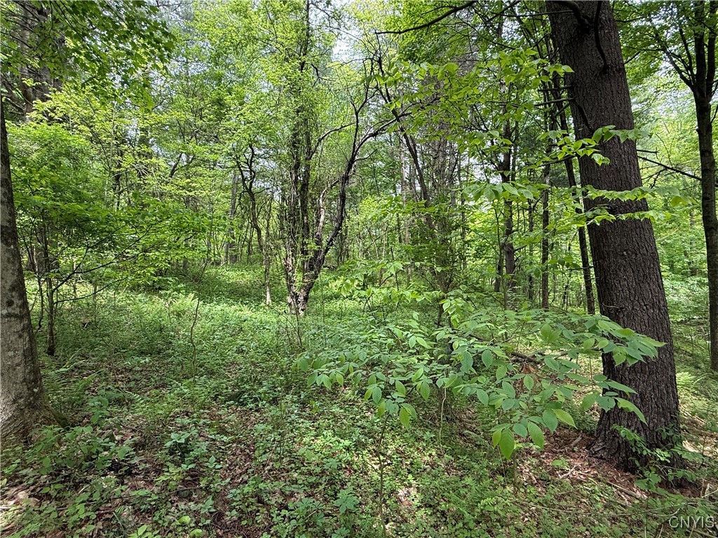 170 Fisher Settlement Road, Spencer, New York image 12