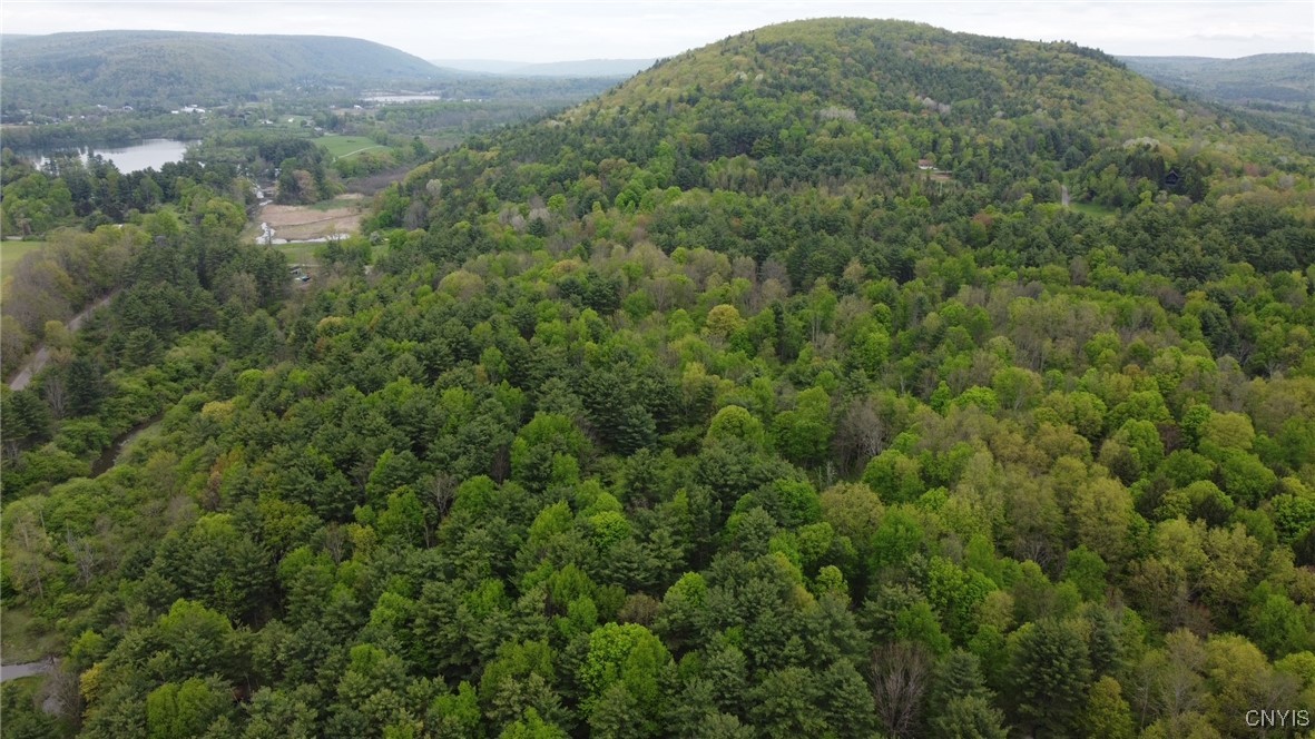 170 Fisher Settlement Road, Spencer, New York image 3