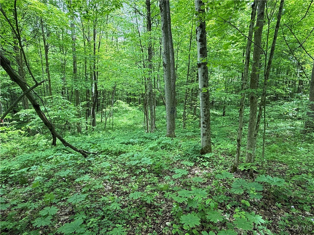 170 Fisher Settlement Road, Spencer, New York image 8