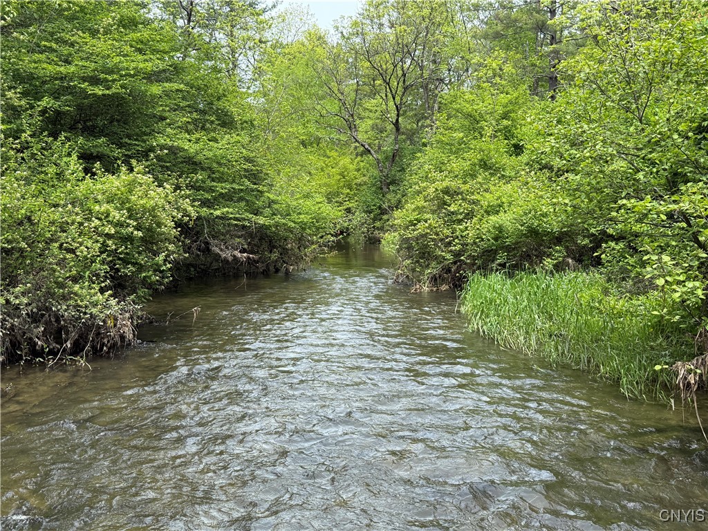 170 Fisher Settlement Road, Spencer, New York image 15