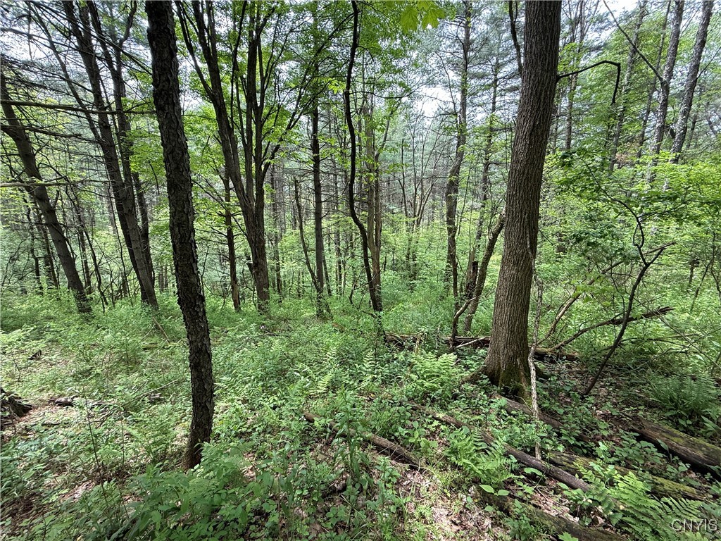 170 Fisher Settlement Road, Spencer, New York image 10