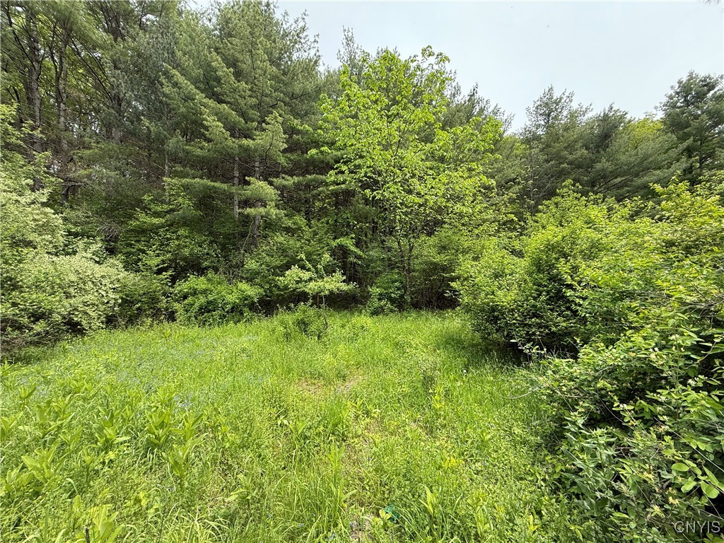 170 Fisher Settlement Road, Spencer, New York image 16