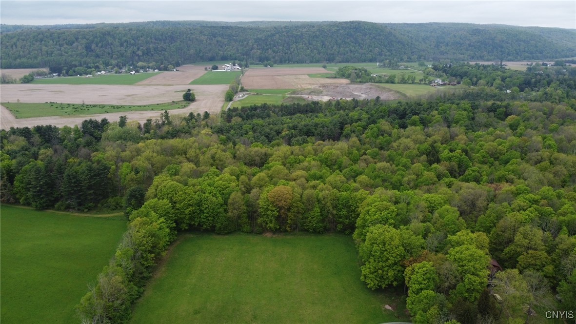 170 Fisher Settlement Road, Spencer, New York image 1