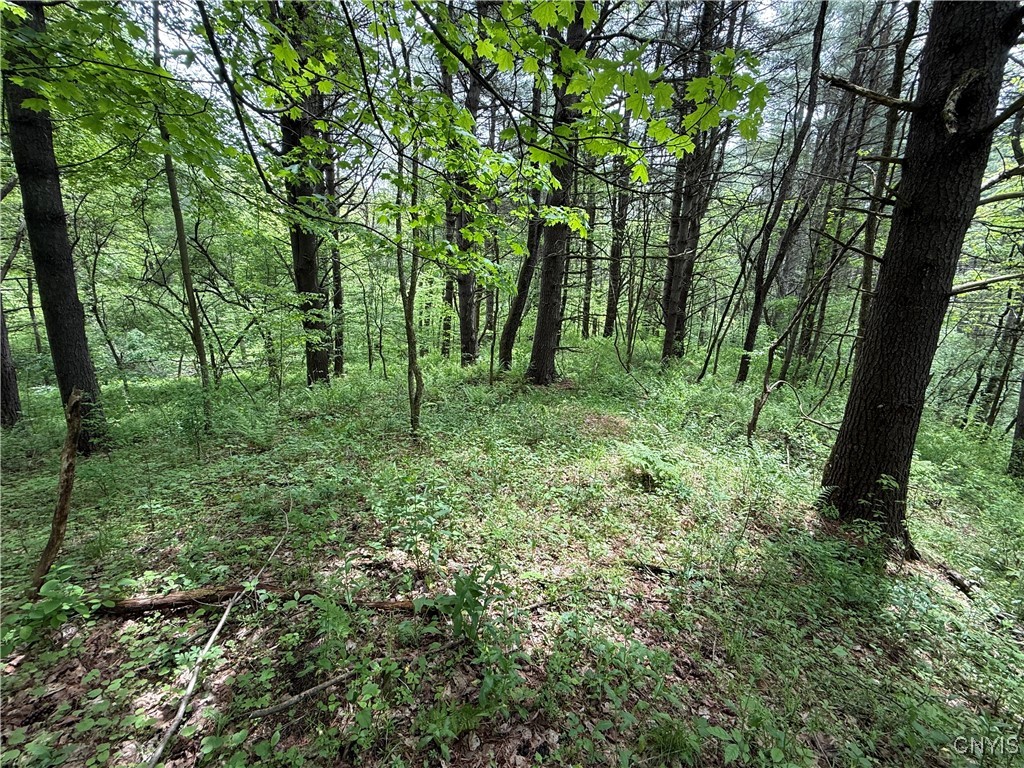 170 Fisher Settlement Road, Spencer, New York image 11
