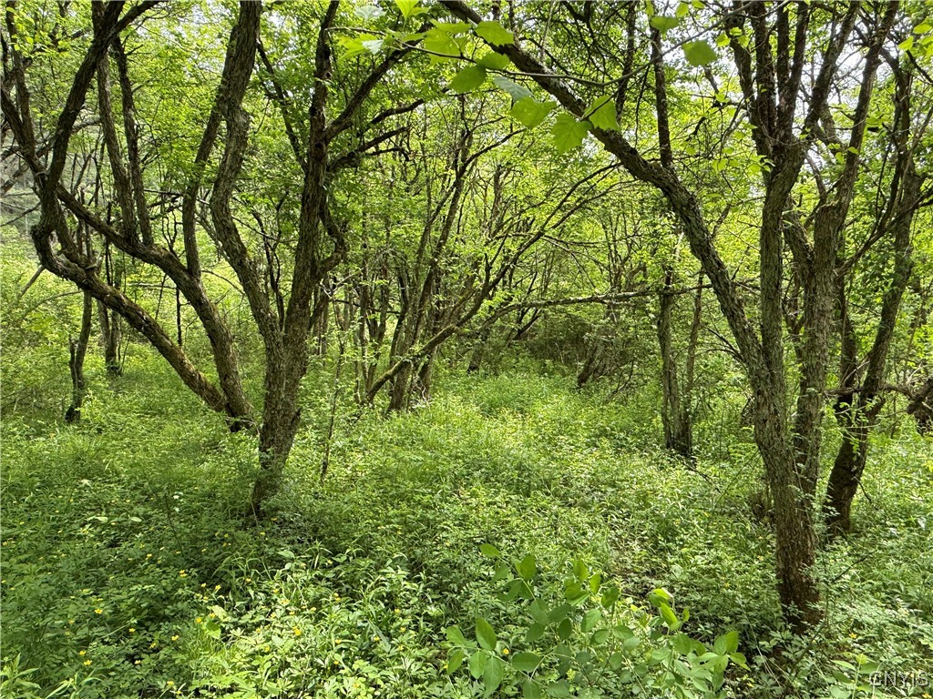 170 Fisher Settlement Road, Spencer, New York image 13