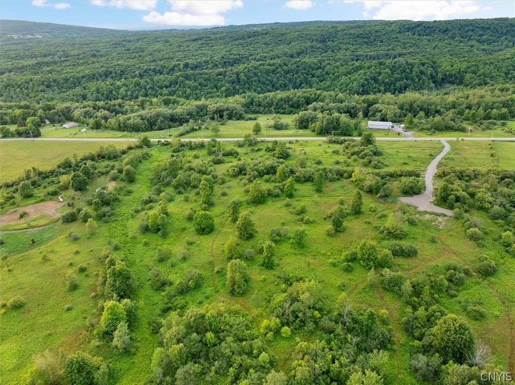 Hawthorne Road, Schuyler, New York image 8