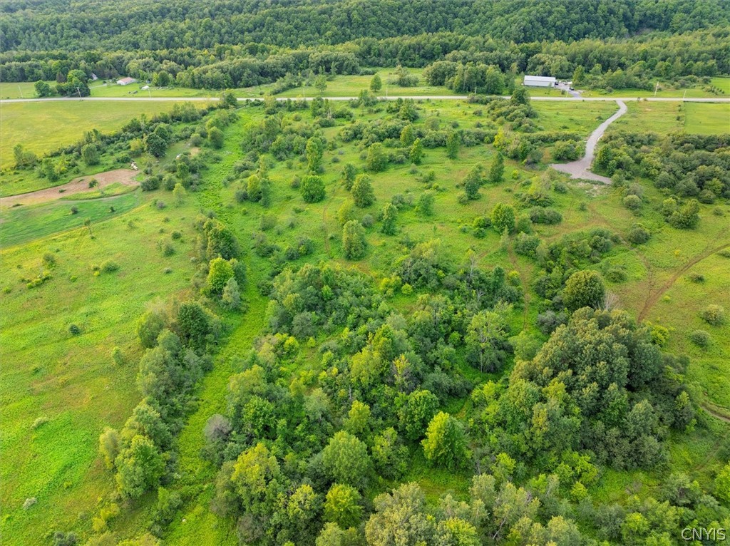 Hawthorne Road, Schuyler, New York image 9