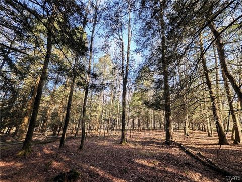 Vacant Land For Sale - 2788 Williamson Road<br/> Greenwood, NY 14839