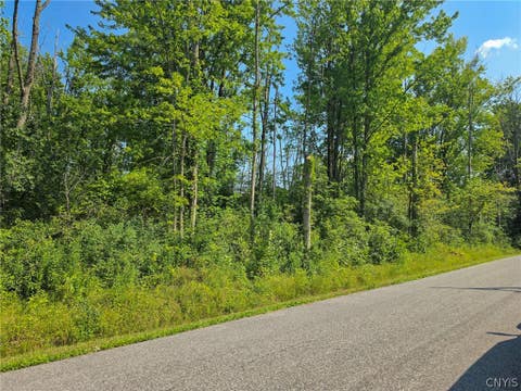 Tiny photo for 0 Old Orchard Avenue, Lenox, NY 13032 (MLS # S1698985)