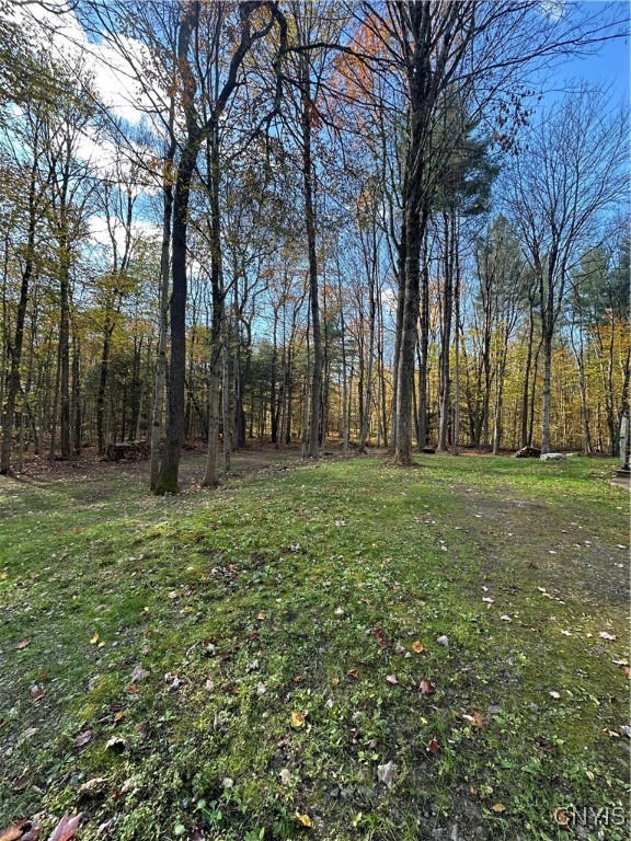 8051 Saltzman Road