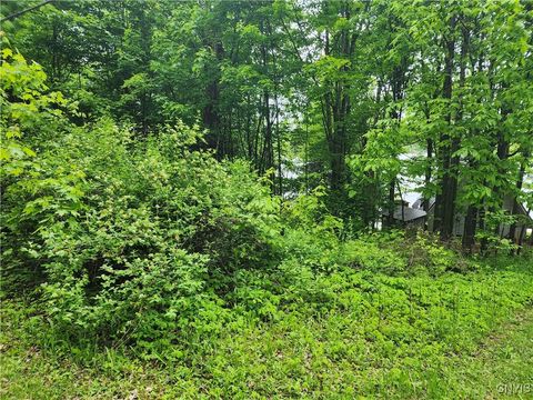 00 Owls Nest Drive Theresa NY 13691