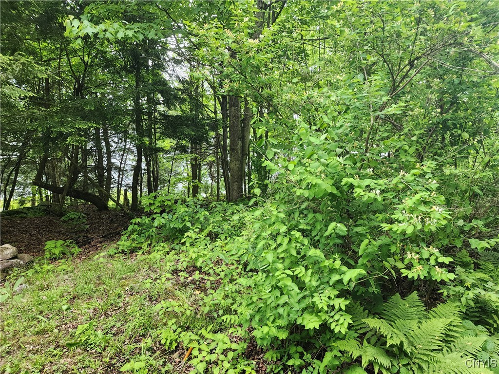 00 Owls Nest Drive, Theresa, New York image 2