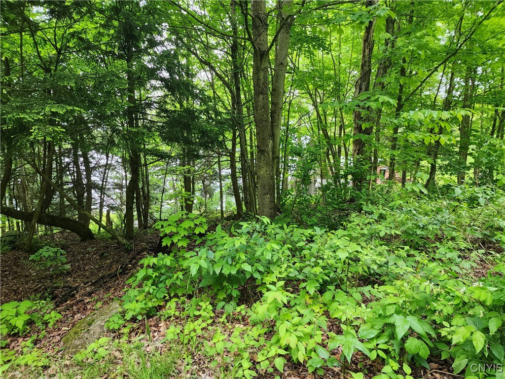 00 Owls Nest Drive, Theresa, New York image 3