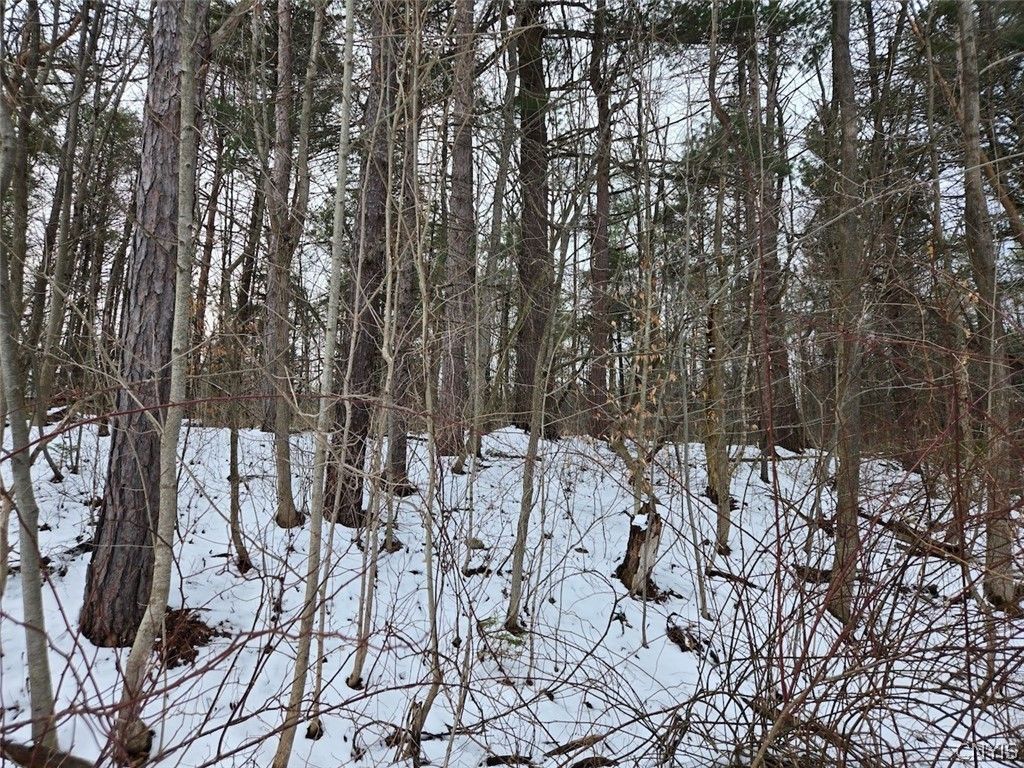 Photo of Syler Road, Orangeville, NY 14569 (MLS # S1669037)