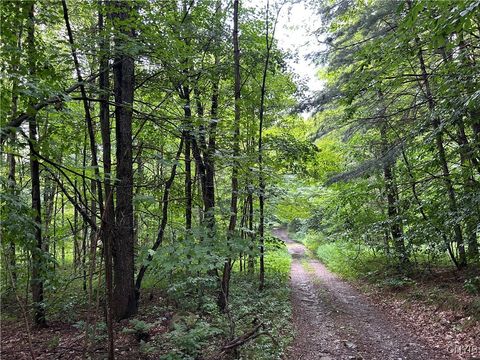 Vacant Land For Sale - Rt-13<br/> Williamstown, NY 13302